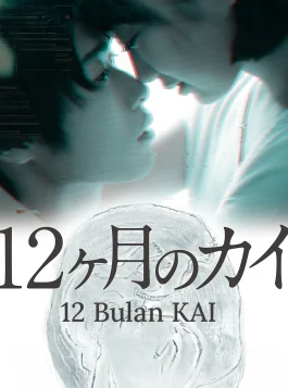 12 Months of KAI_poster